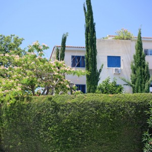 Exceptional Central Living 