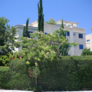 Exceptional Central Living 